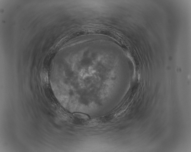 X0000074211155200609151549