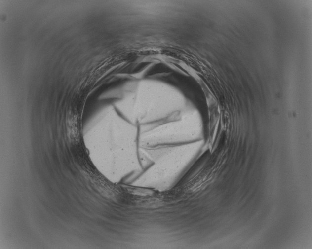 X0000074211156200609151549