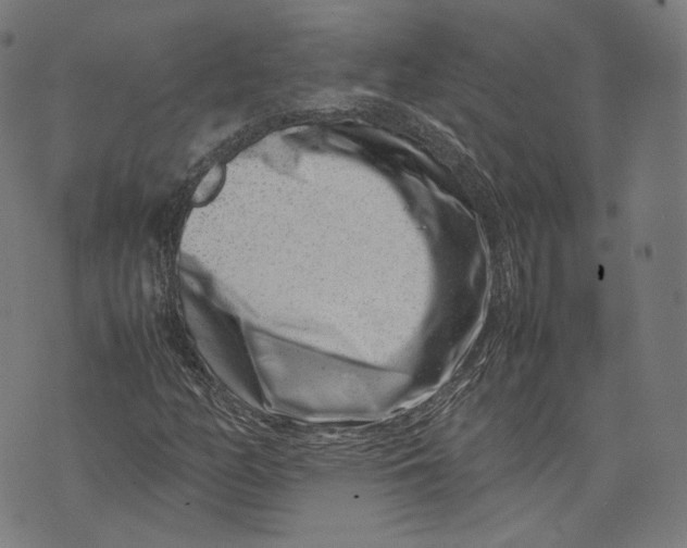 X0000074211158200609151549