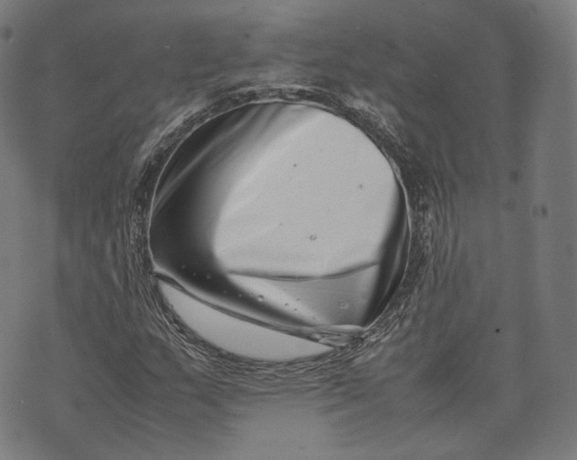 X0000074211159200609151549