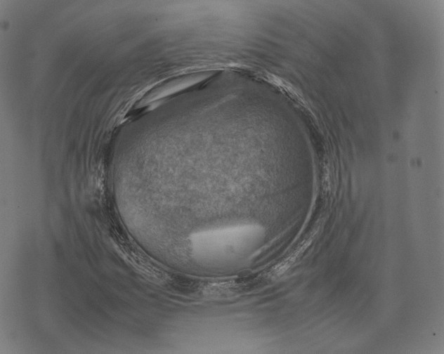 X0000074211161200609151549