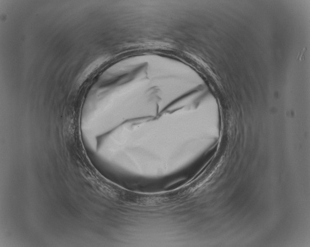 X0000074211163200609151549