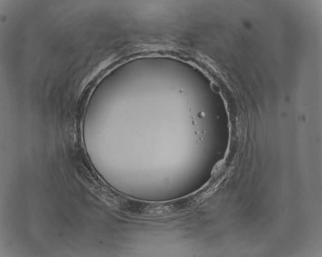 X0000074211165200609151549