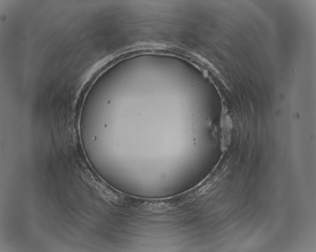 X0000074211168200609151549