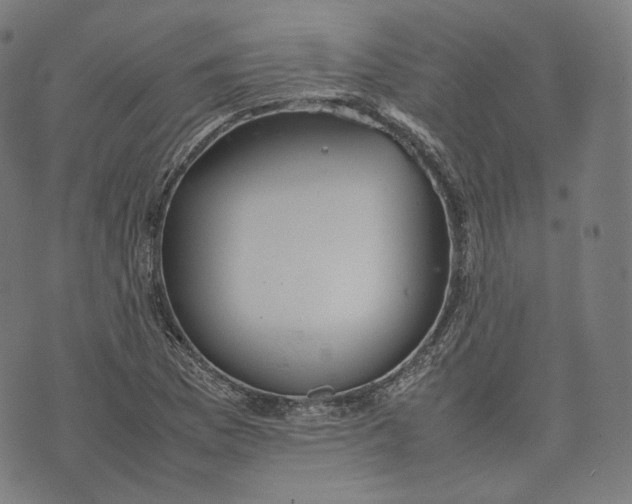 X0000074211169200609151549