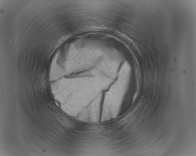 X0000074211170200609151549