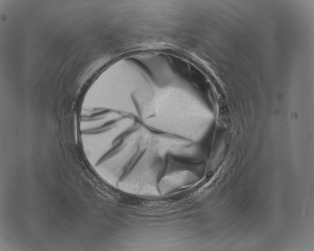 X0000074211171200609151549