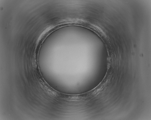 X0000074211172200609151549