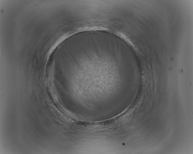 X0000074211173200609151549