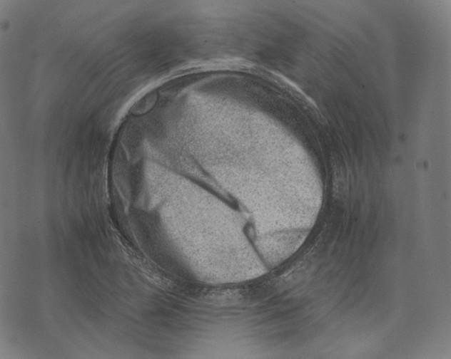 X0000074211174200609151549