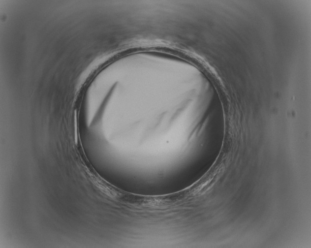 X0000074211175200609151549