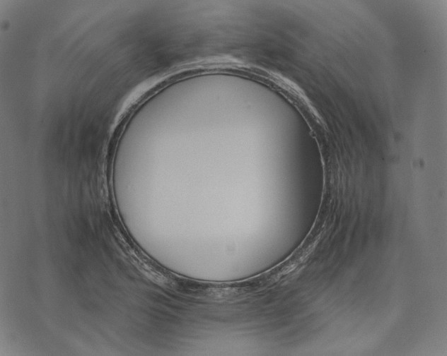 X0000074211176200609151549