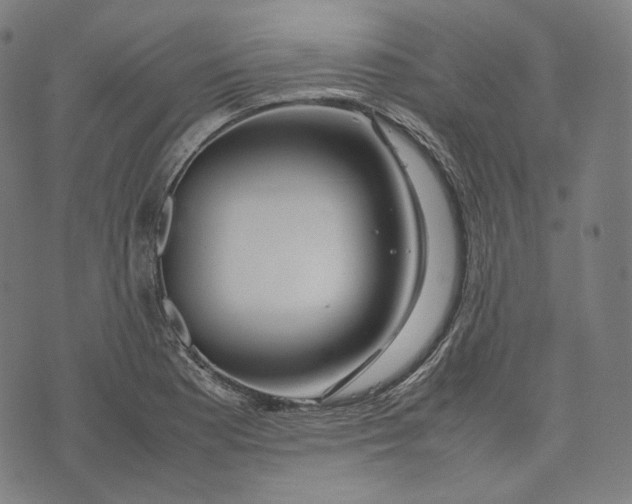 X0000074211177200609151549