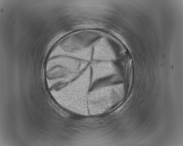 X0000074211179200609151549