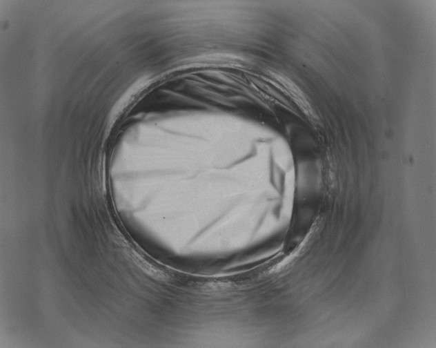 X0000074211180200609151549