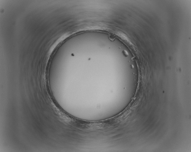 X0000074211181200609151549