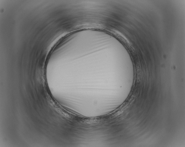 X0000074211182200609151548