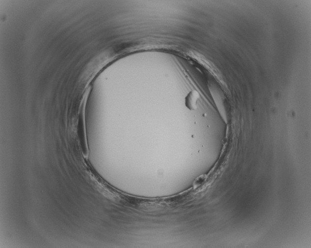 X0000074211185200609151548