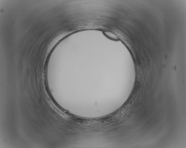 X0000074211187200609151548