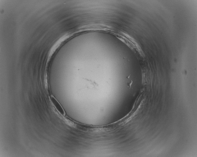 X0000074211188200609151548