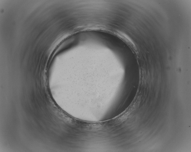 X0000074211190200609151548