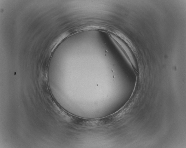 X0000074211193200609151548