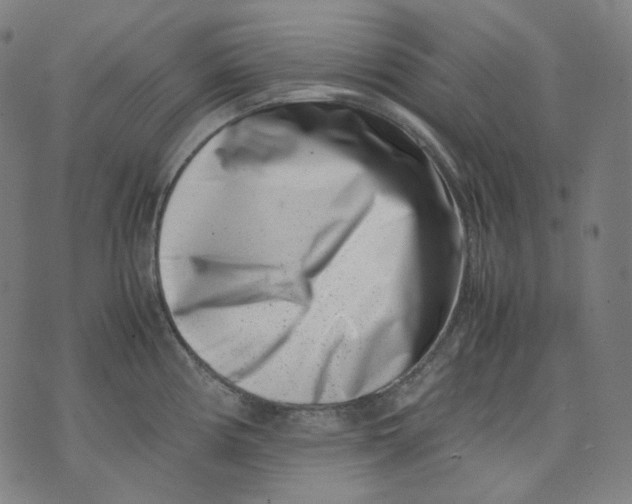 X0000074211194200609151548