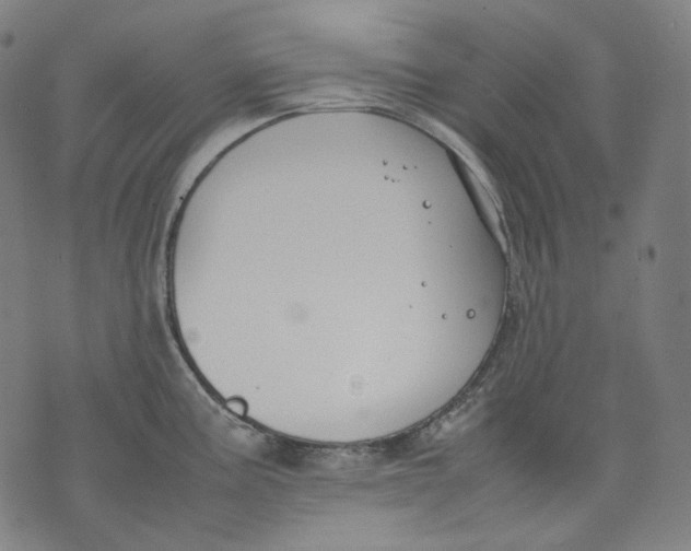 X0000074211195200609151548