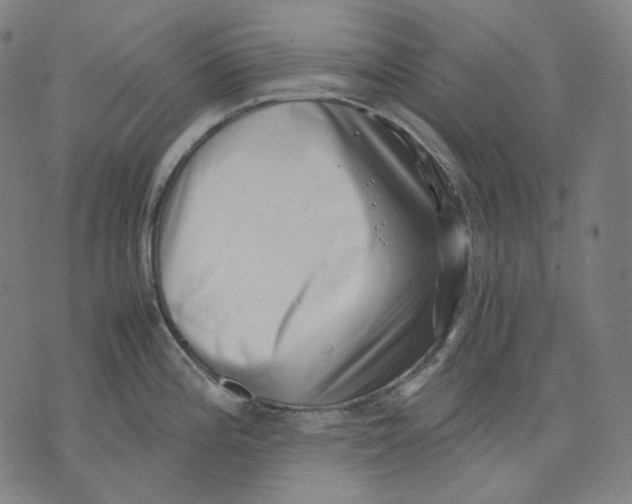 X0000074211196200609151548