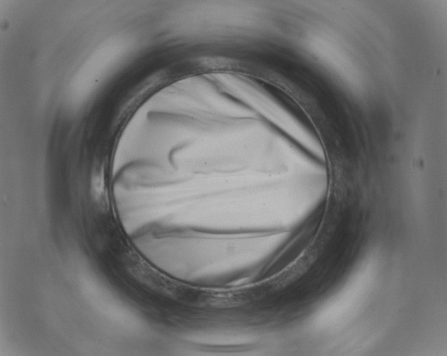 X0000074211198200609151548