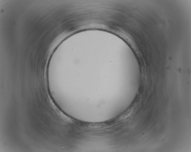 X0000074211199200609151548