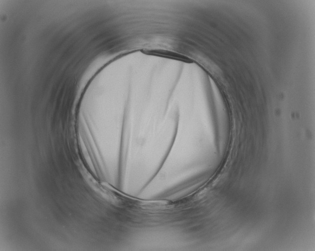 X0000074211200200609151548