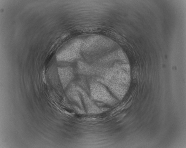 X0000074211202200609151547