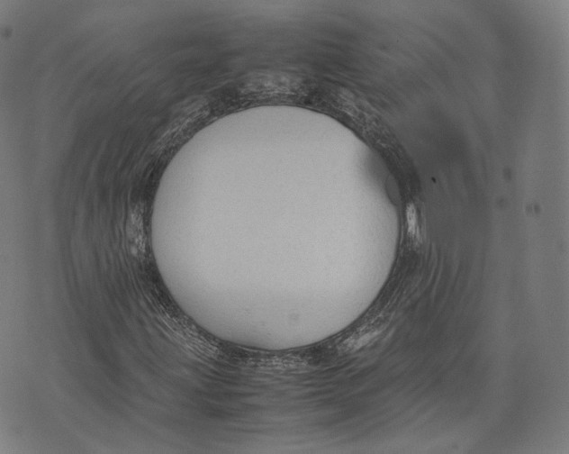 X0000074211203200609151547