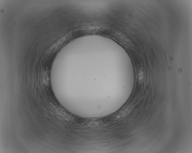 X0000074211204200609151547