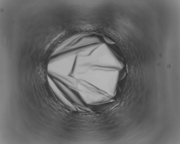 X0000074211205200609151547