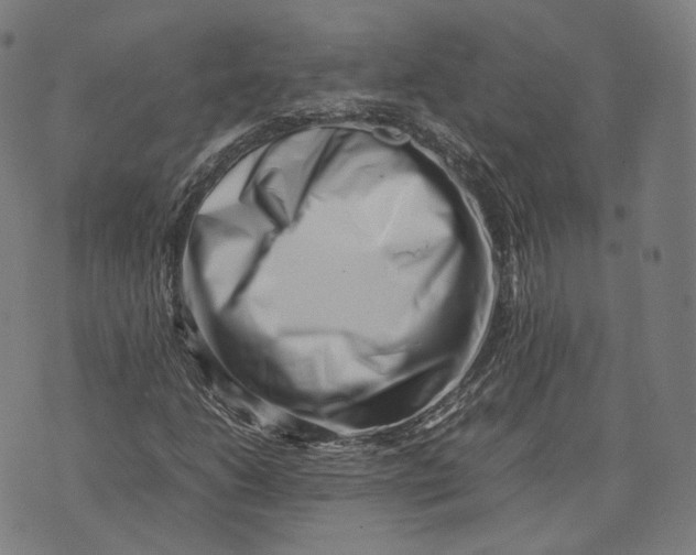 X0000074211206200609151548