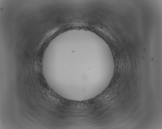 X0000074211207200609151548