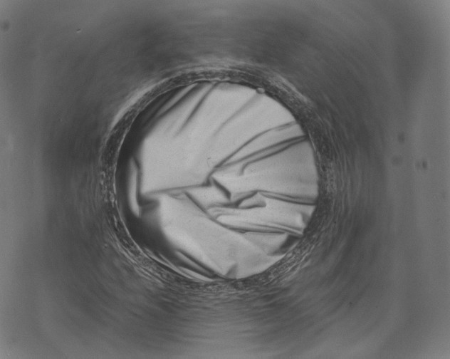 X0000074211208200609151548