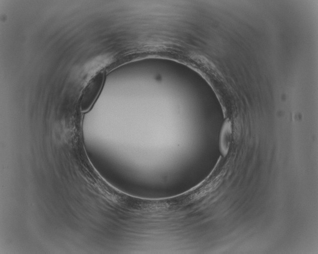 X0000074211210200609151548