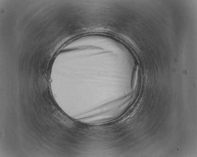 X0000074211212200609151548