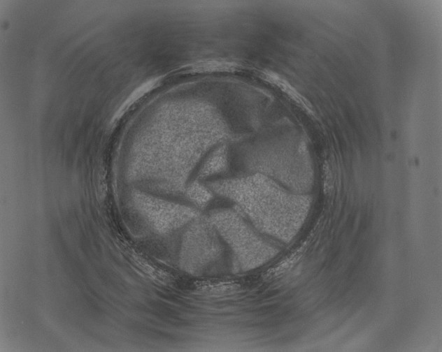 X0000074211213200609151548