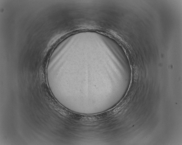 X0000074211215200609151548