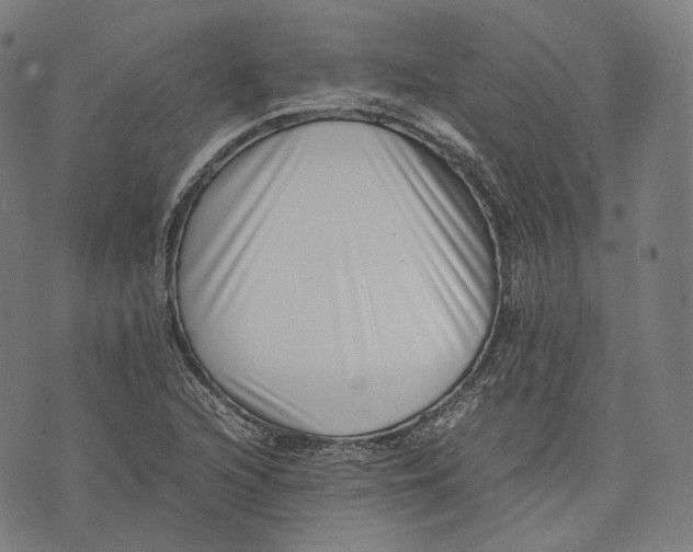 X0000074211216200609151548