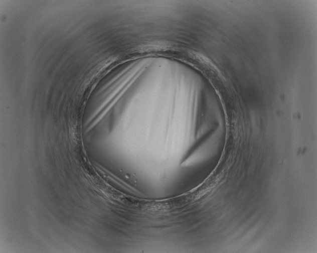 X0000074211217200609151548