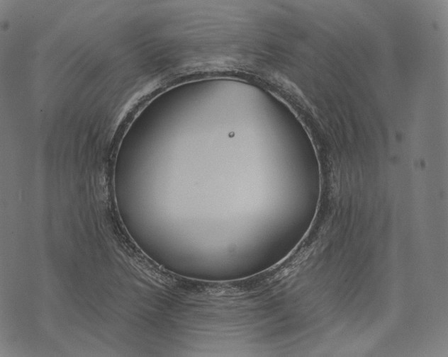 X0000074211218200609151548