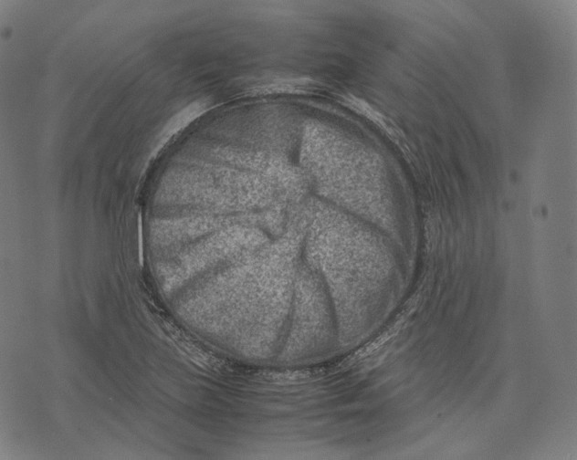 X0000074211219200609151548