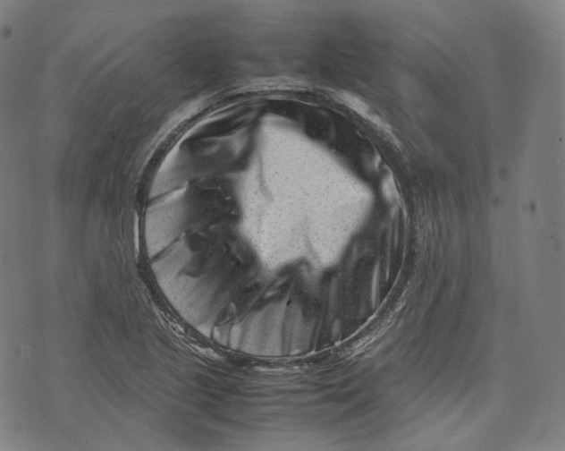 X0000074211221200609151548