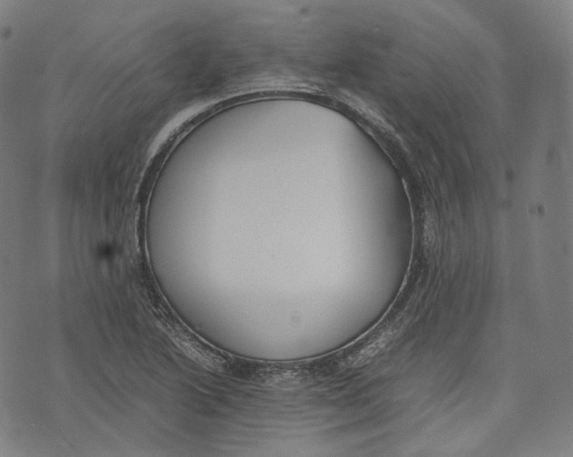 X0000074211222200609151548