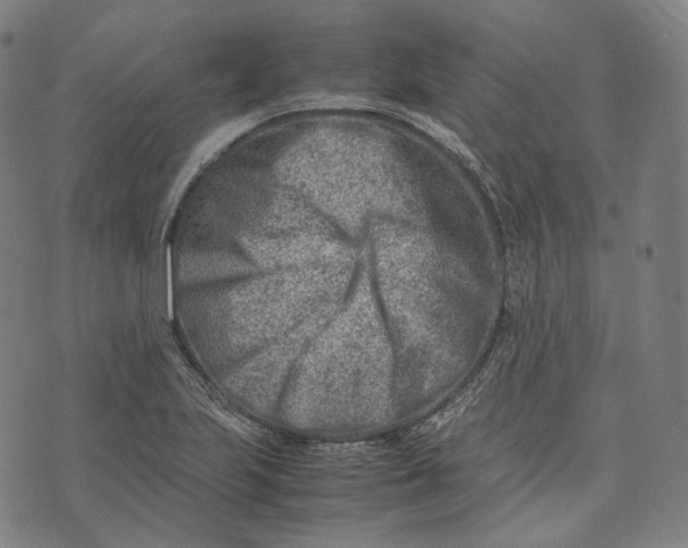 X0000074211223200609151548